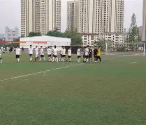 开云官方网站在线登陆-传球助攻算助攻吗